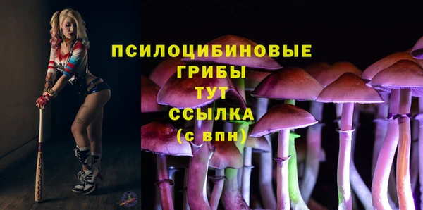 MESCALINE Гусь-Хрустальный