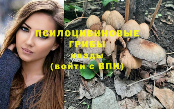 дживик Сафоново