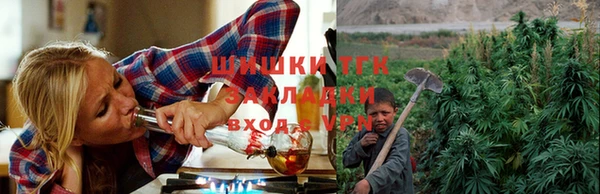 ГАЛЛЮЦИНОГЕННЫЕ ГРИБЫ Гусиноозёрск